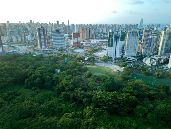Impact alarmant de la pollution de l'air sur notre santé